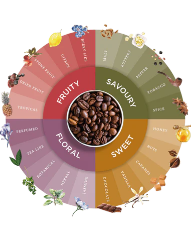 The Coffee Flavour Wheel